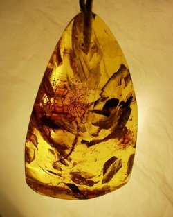 Определение натуральности янтаря