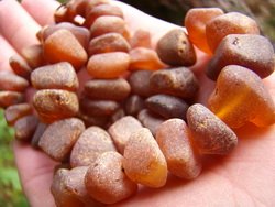 Узнать янтарь