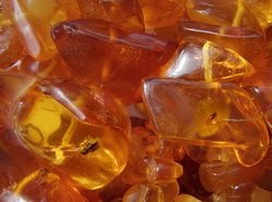 Свойства янтаря