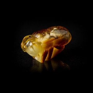 Янтарные пчёлы