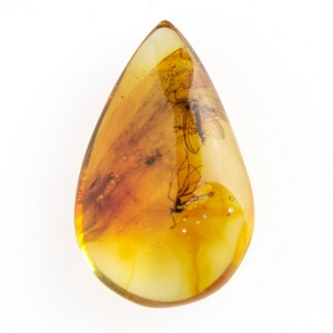 Комары в янтаре