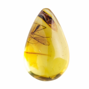 Насекомые в янтаре