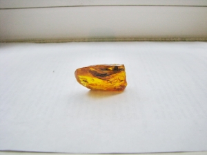 Янтарь с инклюзами