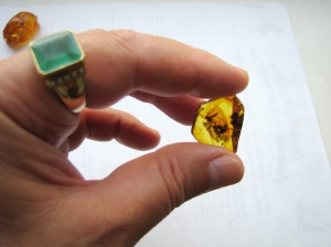 Янтарь с инклюзами