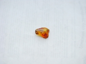 Инклюзы в янтаре