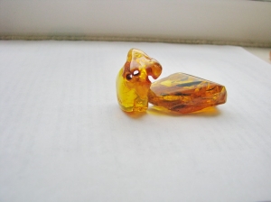 Инклюзы в янтаре