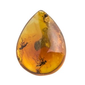 Янтарь с насекомыми