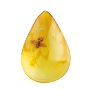 Янтарь с инклюзом