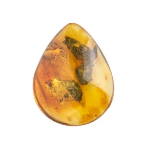 Паук в янтаре