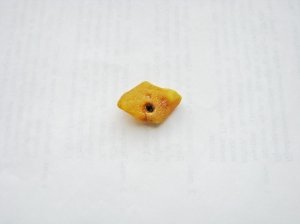 Инклюзы в янтаре