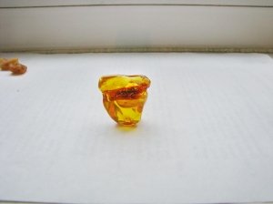 Инклюзы в янтаре