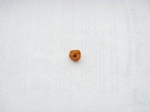 Янтарь с инклюзами