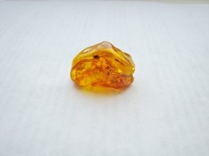 Янтарь с инклюзами