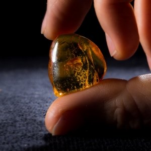 Янтарь с насекомыми