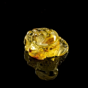 Янтарная жаба