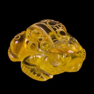 Лягушка из янтаря