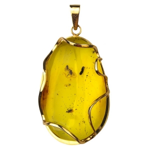 Мошки в янтаре