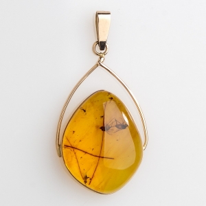 Янтарь с инклюзами