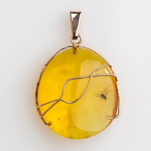 Янтарь с насекомыми 