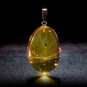 Янтарь с насекомыми