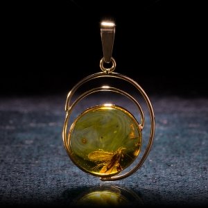 Янтарь с насекомыми