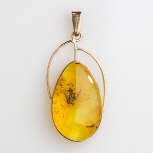 Янтарь с насекомыми