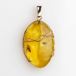 Кулон из янтаря с насекомыми 