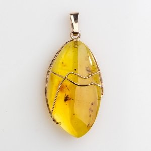 Янтарный кулон с насекомыми