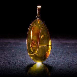 Украшения из янтаря с насекомыми
