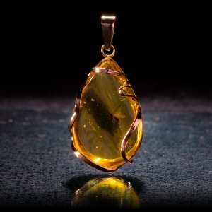 Украшения из янтаря с насекомыми