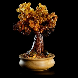 На фото денежное дерево из янтаря