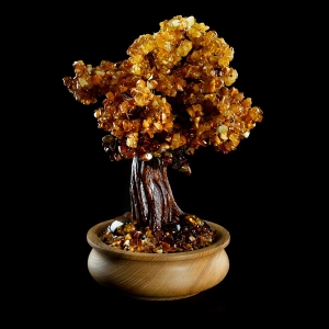 Фото янтарного дерева