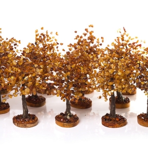 Янтарные деревья