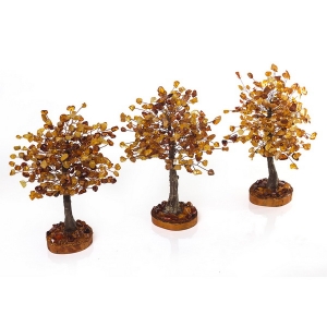 Янтарные деревья счастья