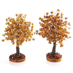 Деревья из янтаря для влюблённых