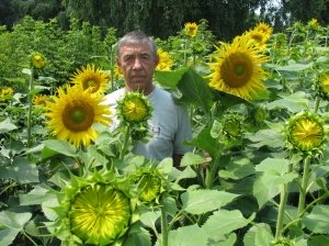 Индивидуальное фото